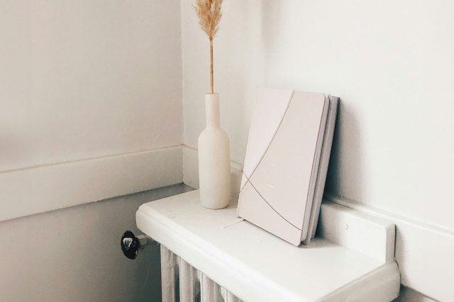 A white radiator with a plant and journals propped on top 