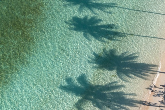 A view of a beach with shadows on the sand of palm trees