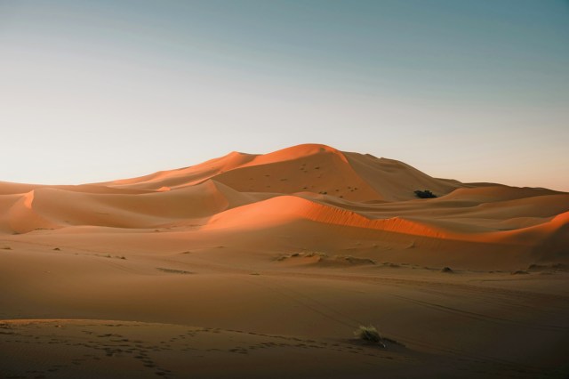 A desert landscape