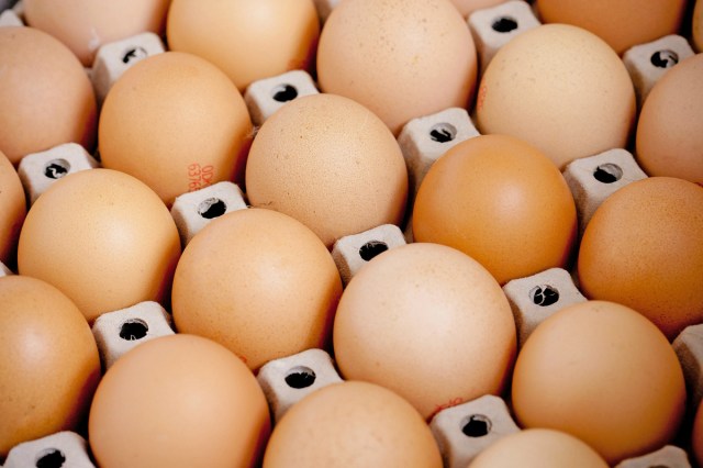 A carton of eggs