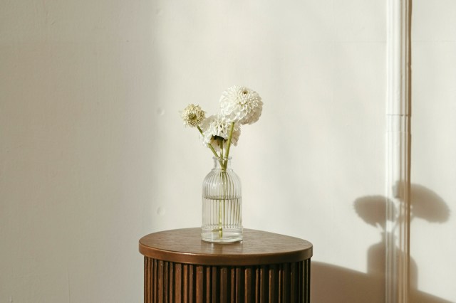 A vase of white flowers